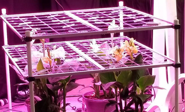 P SCROG Double Layer 4x4 Kit w/Leg Clamps (SAVE 10%)