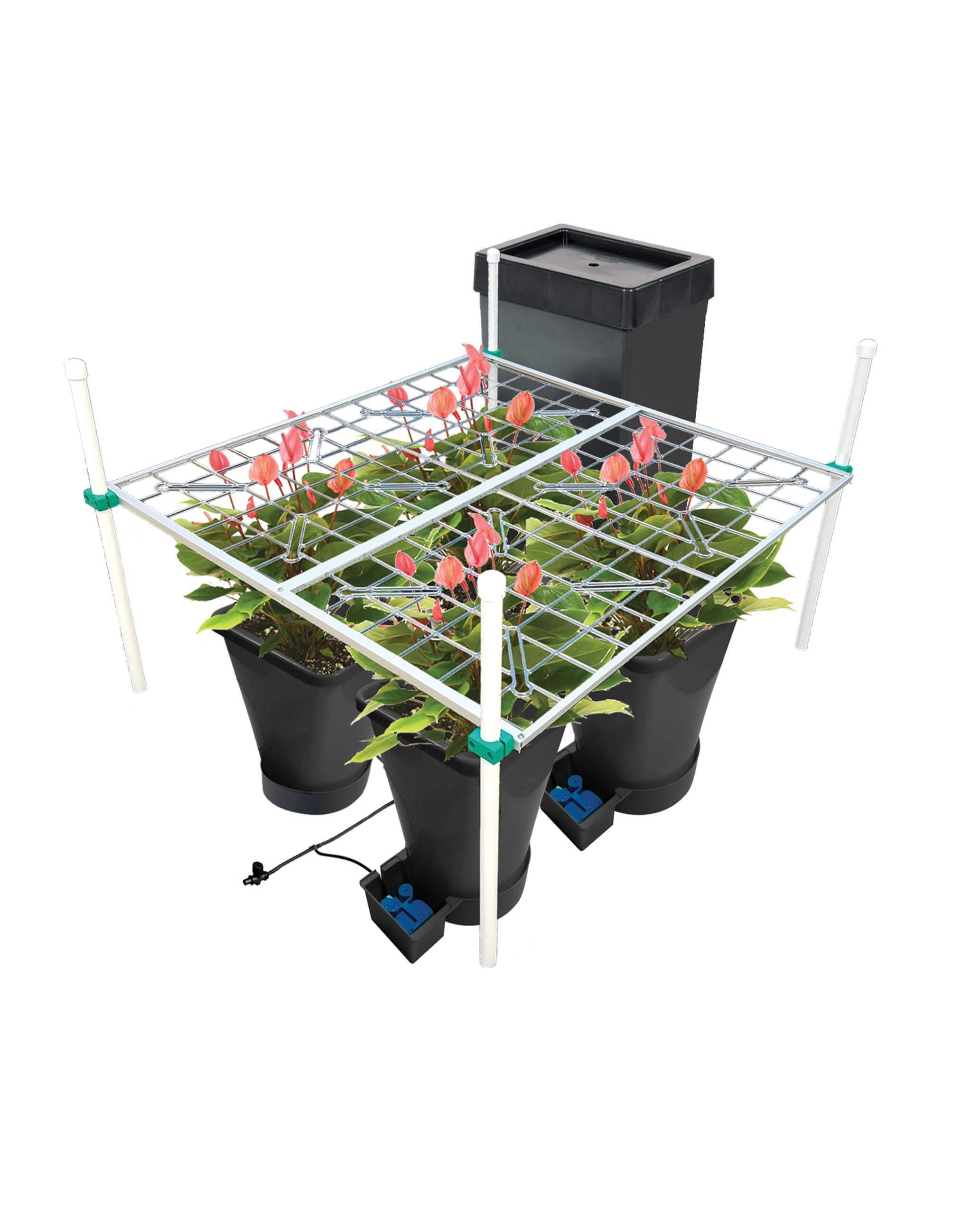 AutoPot 4 Pot with
P SCROG 4x4