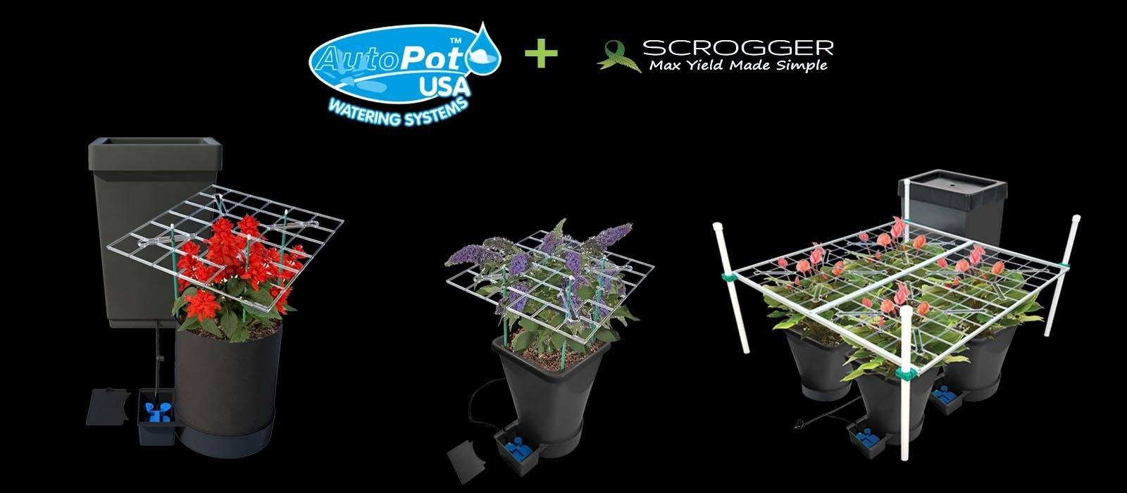 AutoPot with P SCROG Kits