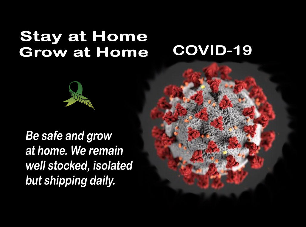 Stay at home...Grow at home - COVID-19